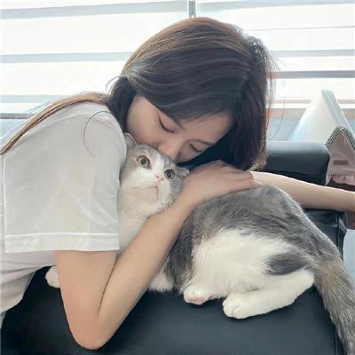 经典杯子蛋糕